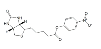 1704176169858396.png QQ截图20240102141532.png