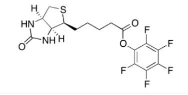 Biotin-PFP 生物素五氟苯酯