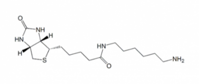 N-Biotinyl-1,6-hexanediamine 生物素-1.6-已二胺