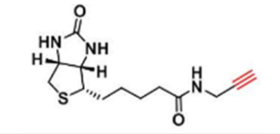 Biotin alkyne; 生物素-炔基 Biotin alkyne; 生物素-炔基
