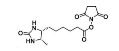 Desthiobiotin NHS Ester Desthiobiotin NHS Ester