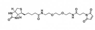 生物素-二乙二醇-马来酰亚胺 生物素-二乙二醇-马来酰亚胺