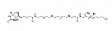生物素-二环氧二苯硅-炔基 生物素-二环氧二苯硅-炔基
