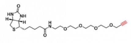 生物素-四乙二醇-炔基 生物素-四乙二醇-炔基