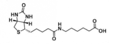 Biotin-LC; 6-生物素氨基己酸 Biotin-LC; 6-生物素氨基己酸