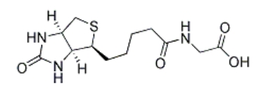 N-Biotinyl Glycine;生物素甘氨酸 N-Biotinyl Glycine;生物素甘氨酸