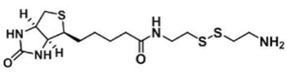 生物素-半胱胺 生物素-半胱胺