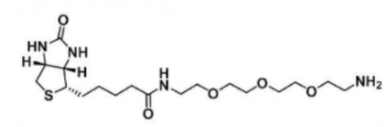 生物素-三乙二醇-氨基 生物素-三乙二醇-氨基
