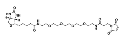 生物素-四乙二醇-马来酰亚胺 生物素-四乙二醇-马来酰亚胺