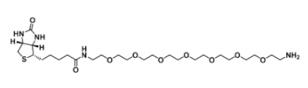 生物素-七乙二醇-氨基