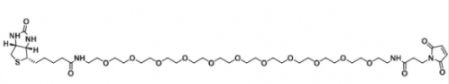 生物素-十一乙二醇-马来酰亚胺 生物素-十一乙二醇-马来酰亚胺