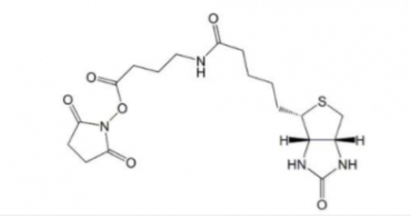 生物素-丁氨酸-活性酯