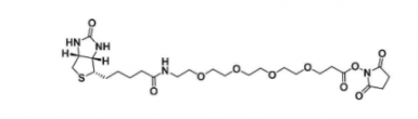 生物素-四乙二醇-活性酯 生物素-四乙二醇-活性酯