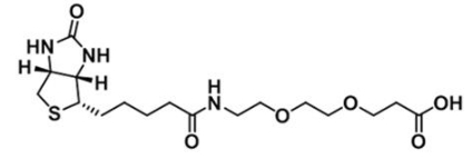 CAS 1365655-89-5;生物素-二聚乙二醇-羧基；Biotin-PEG2-COOH；Biotin-PEG2-Acid