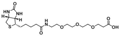 CAS:252881-76-8；生物素三聚乙二醇丙酸；(+)-Biotin-PEG3-Acid