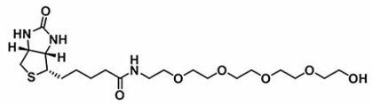 生物素-五聚乙二醇-羟基；Biotin-PEG5-OH