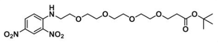 CAS:1817735-31-1；DNP-PEG4-COOtBu；DNP-PEG4-t-butyl ester
