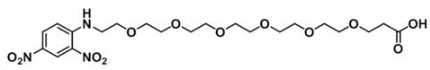 CAS:1817829-84-7；DNP-PEG6-COOH；DNP-PEG6-Acid