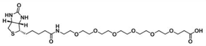 生物素-六聚乙二醇-羧基；Biotin-PEG6-COOH；Biotin-PEG6-Acid