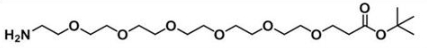 CAS:1286281-32-0；氨基-六聚乙二醇-丙酸叔丁酯；NH2-PEG6-CH2CH2COOtBu