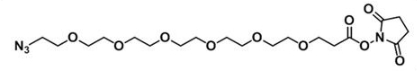 CAS:C19H32N4O10；叠氮六聚乙二醇活性酯；Azide-PEG6-NHS ester；N3-PEG6-NHS