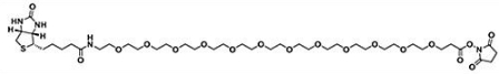 生物素十二聚乙二醇活性酯；Biotin-PEG12-NHS ester