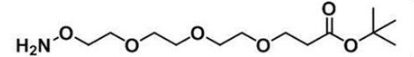 羟胺-三聚乙二醇-叔丁酯;Amineoxy-PEG3-t-butyl ester 羟胺-三聚乙二醇-叔丁酯;Amineoxy-PEG3-t-butyl ester