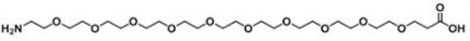 氨基-十二聚乙二醇-羧基；Amine-PEG12-Acid