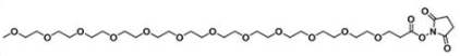 CAS:2207596-93-6；甲氧基-十二聚乙二醇-活性酯；m-PEG12-NHS ester