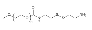 mPEG-SS-NH2;mPEG-SS-Amine;应用于医学研究 mPEG-SS-NH2;mPEG-SS-Amine;应用于医学研究