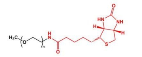 甲氧基PEG生物素 甲氧基PEG生物素
