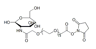 Gluc-PEG-SCM的基本信息 Gluc-PEG-SCM的基本信息