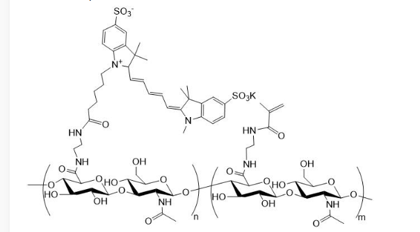 Cy5-HA-MA Cy5标记甲基丙烯酸酯化透明质酸