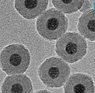 稀土上转换发光纳米材料/纳米粒子