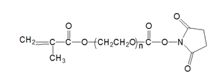 MA-PEG-SC；α-甲基丙烯酸酯基-ω-琥珀酰亚胺碳酸酯基聚乙二醇