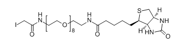 碘乙酰基-八聚乙二醇-生物素
