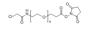CAS： 1353011-95-6；Chloroacetamido-PEG4- NHS ester