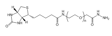 Biotin-PEG-Hydrazide；Biotin-PEG-HZ；生物素-聚乙二醇-酰肼