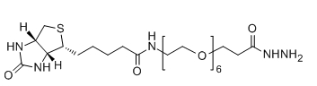 Biotin-PEG6-Hydrazide;Biotin-PEG6-HZ;分子式:C25H47N5O9S Biotin-PEG6-Hydrazide;Biotin-PEG6-HZ;分子式:C25H47N5O9S