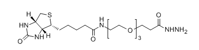CAS:1381861-94-4;Biotin-PEG3-HZ;Biotin-PEG3-Hydrazide CAS:1381861-94-4;Biotin-PEG3-HZ;Biotin-PEG3-Hydrazide