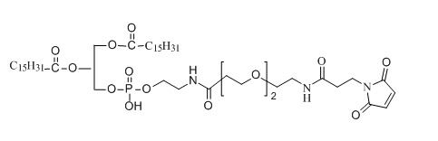 DPPE-PEG2-NH-Mal应用于医学研究 DPPE-PEG2-NH-Mal应用于医学研究