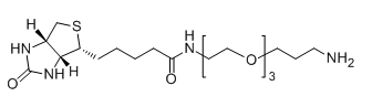 CAS No.：  1374658-86-2；Biotin-PEG3-CH2CH2CH2NH2