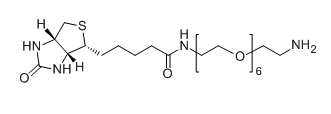Biotin-PEG6-NH2应用于医学研究