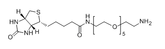 CAS No.：  113072-75-6；Biotin-PEG5-NH2应用于医学研究