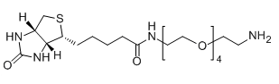 CAS No.：  663171-32-2；Biotin-PEG4-NH2应用于医学研究