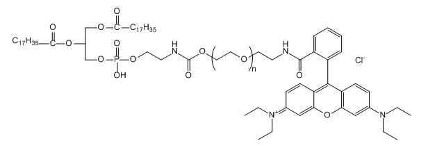 RB-PEG-DSPE；Rhodamine B-PEG-DSPE；罗丹明B-聚乙二醇-二硬脂酰基磷脂酰乙醇胺