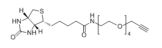 CAS No.：  1458576-00-5；Biotin-PEG4-Alkyne应用于医学研究