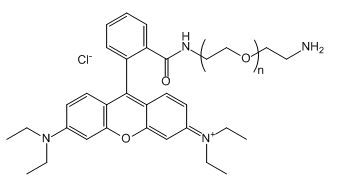RB-PEG-NH2;Rhodamine B-PEG-Amine;罗丹明B-聚乙二醇-氨基 RB-PEG-NH2;Rhodamine B-PEG-Amine;罗丹明B-聚乙二醇-氨基