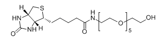 CAS No.：  906099-89-6；Biotin-PEG6-OH应用于医学研究