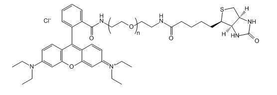 RB-PEG-Biotin；Rhodamine B-PEG-Biotin；罗丹明B-聚乙二醇-生物素